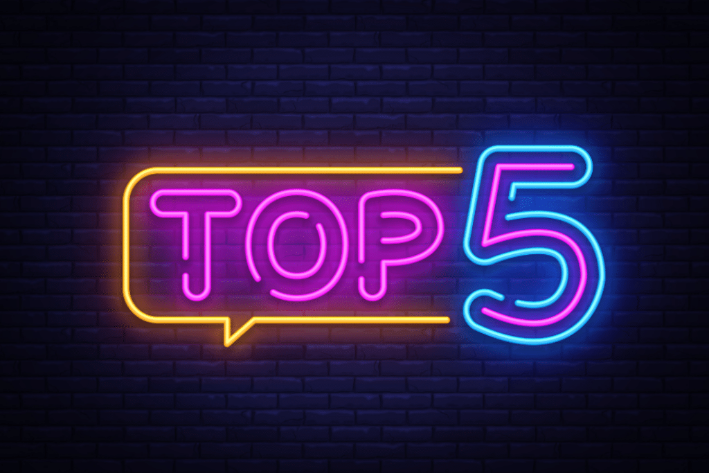 top+5+artikelen+2025